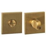 Intersteel wc-sluiting verdekt 53x53x6mm met stift 6-8mm pvd messing mat