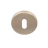 Sleutelplaatje BASIC LBN50 6 mm PVD licht brons