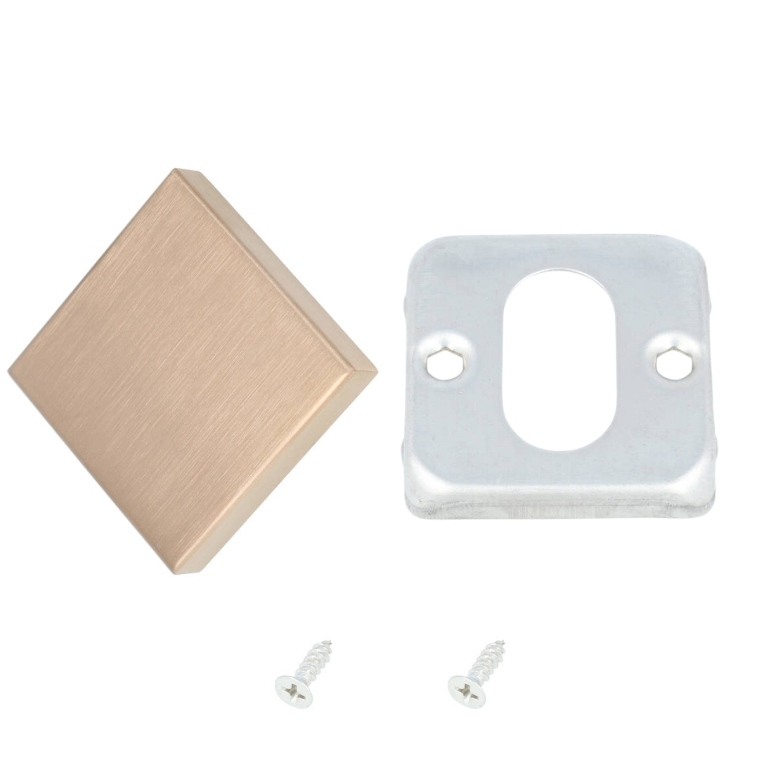 Blind Plaatje BASIC BSQB53 PVD licht brons - Afbeelding 3