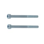 Set van 2 bouten M5x60 tbv Nova en Quattro veiligheidsrozet voor deurdikte 50-57.5 mm