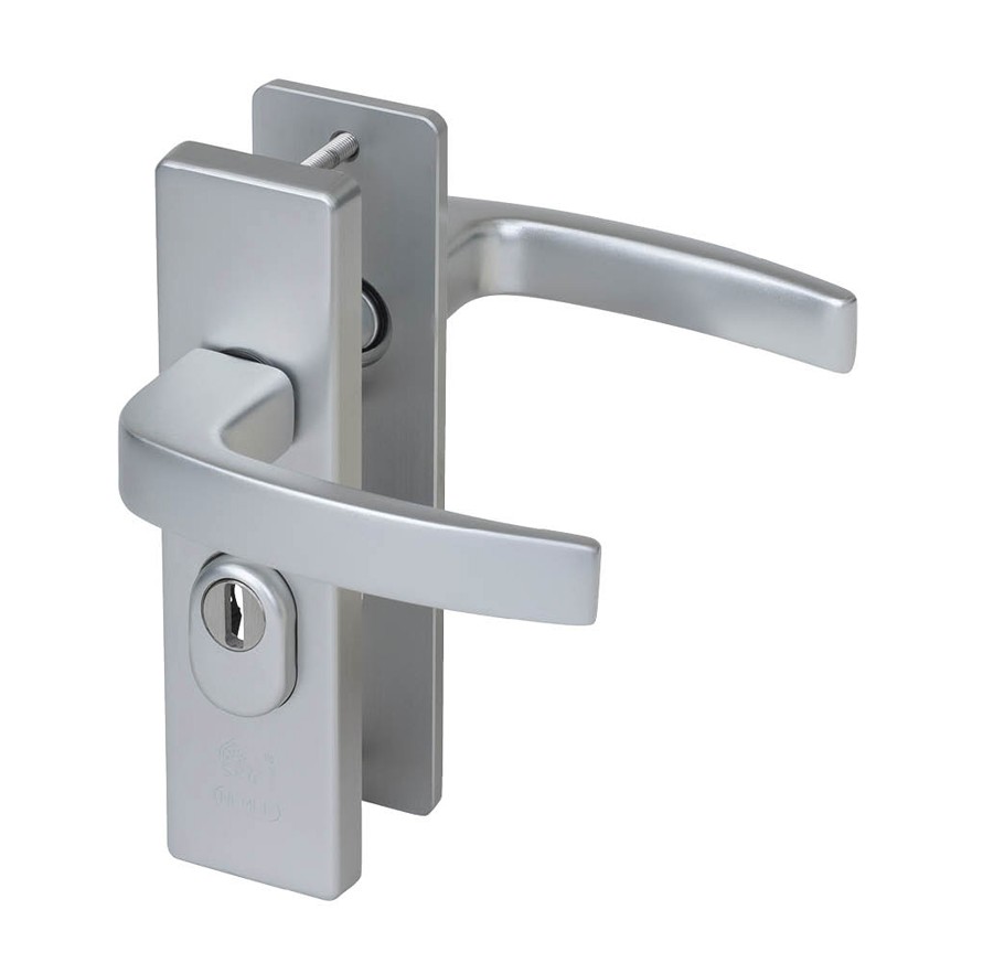 Nemef veiligheidsbeslag PC55 kortschild kruk/kruk 3407-II met kerntrek beveiliging SKG3 aluminium F1